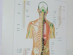 -张钰强中医正骨推拿连锁(华发商都店)