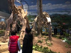 -自贡恐龙博物馆