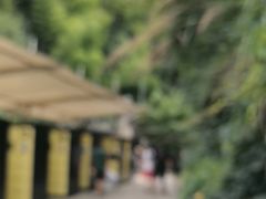 -将军关探险漂流