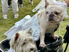 -上海神旺大酒店