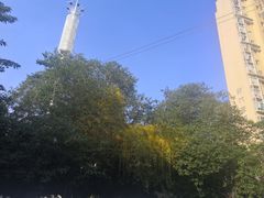 -339旋转餐厅(天府熊猫塔店)