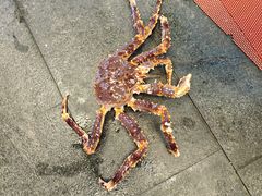 -大东海海鲜酒楼(渔人码头总店)