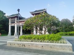 -王借岗森林公园