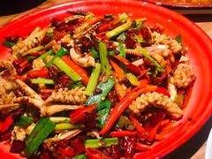 辣炒鱿鱼-先启半步颠小酒馆(常熟万达广场店)