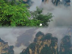 -业华湘·特色菜