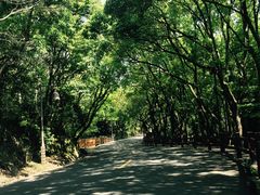 -普陀山慧济禅寺