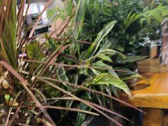 -木屋烧烤(白石洲店)