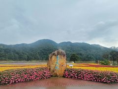 -广州市石门国家森林公园