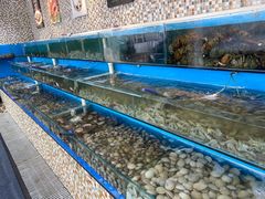 -港畔赶海蒸汽海鲜烧烤自助(仙螺岛店)