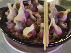 盐焗海螺-勝記酒家·37年老字号·经典粤菜(荔枝公园店)