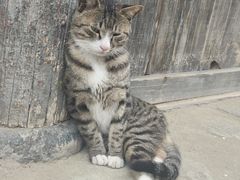 -韩城古城
