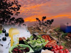 -广州市流溪河国家森林公园