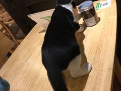 -猫的天空之城概念书店(杭州南宋御街店)