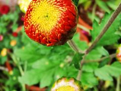 -东湖食堂·湖景餐厅•会议