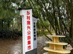 -普者黑风景区-青龙山