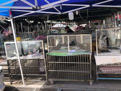 -中环花鸟鱼虫市场
