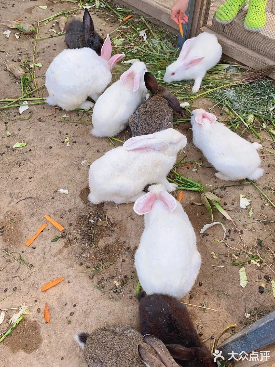 北京丰台你不能错过的带娃培养感情的好去处[胜利]