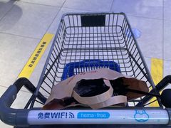 -盒马鲜生(大行宫店)
