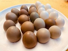 -冶春茶社(珍园店)