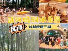 -武汉玛雅海滩水公园