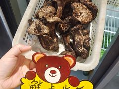 -菌之家·专业纯野生菌火锅·特色炒菌