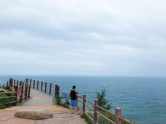 -广东惠东海龟国家级自然保护区