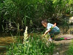 -碓臼峪自然风景区