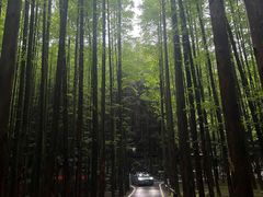 -山王坪喀斯特国家生态公园