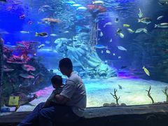 -沈阳海洋探索中心