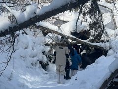 -峡谷浮石林景区