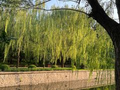 -元大都城垣遗址公园