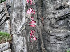 -铁山坪森林公园