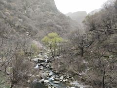 -少华山国家森林公园