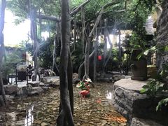 -东方华地城湿地温泉度假区