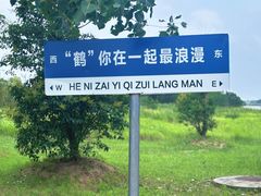 -盐城丹顶鹤湿地生态旅游区