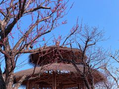 -太湖龙之梦
