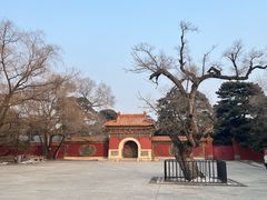 -北陵公园
