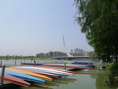 -金银湖国家城市湿地公园