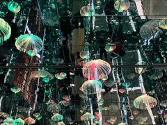 -梵高星空艺术馆(北京旗舰店)