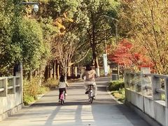 -昆山城市生态森林公园