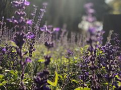 -苏州河梦清园环保主题公园