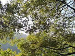 -石燕湖生态旅游景区