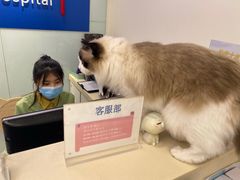 -全心全意连锁动物医院(加州店)