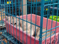 -独墅湖图书馆停车场