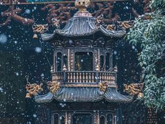 -青羊宫