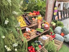 -蘑界·野生菌火锅(深业上城店)