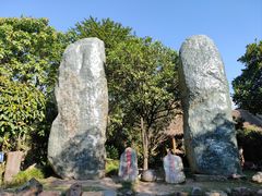 -云南勐巴娜西珍奇园