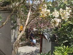 -青岩古镇