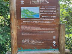 -华侨城湿地公园