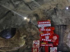 -重庆际华园室内极限运动中心